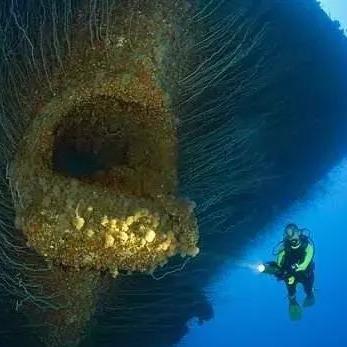 最新端游开服，探索神秘游戏世界