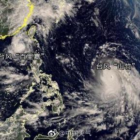 东北小山竹文化探秘，自然与和谐共舞的视频新篇章