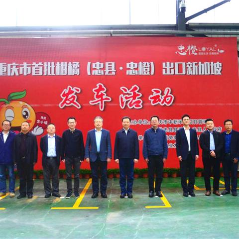 E站公用账号最新分析与探讨，使用现状与趋势观察