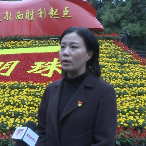 掌上威信实时新闻动态