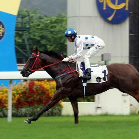 ＂2025香港赛马全年免费资料＂的：实地应用实践解读_47-45-34-21-32-48 T：112.11