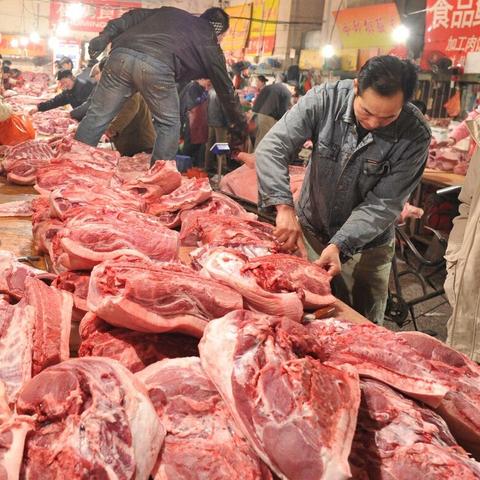 山东冷库土豆价格走势分析