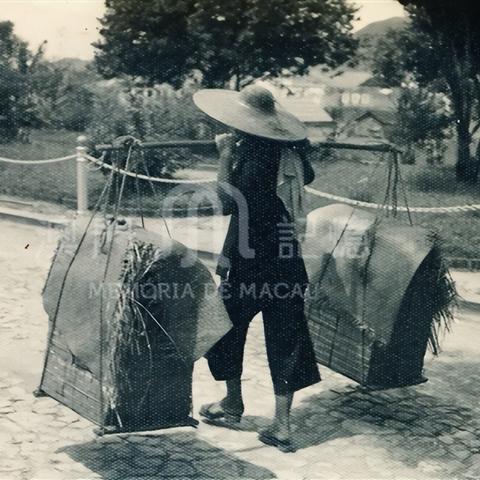 ＂2025澳门天天彩六开彩免费图＂的：策略优化计划_04-14-20-06-42-27 T：252.60