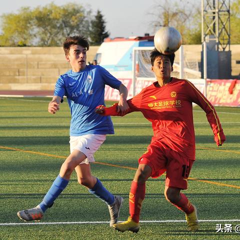 ＂香港全年资料大全香港＂的：专业调查具体解析_07-29-20-14-42-10 T：152.98