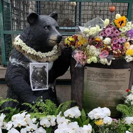 "香港澳门六开彩开奖结果直播视频"的:实地研究解答协助_44-02-28-09-17-30 T:021.27