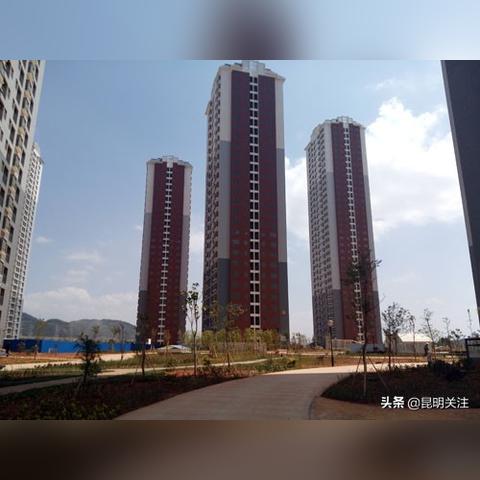 尚雅苑最新动态更新速递