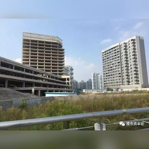 尚雅苑最新动态更新速递