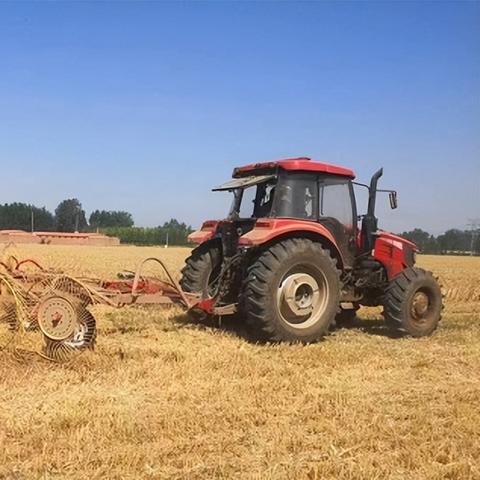 小麦价格行情分析，最新预测与未来展望（2023-2025）