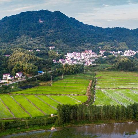 合肥最新区划下的舒城概况介绍