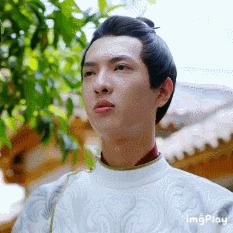 南台十六府最新报价解析报告