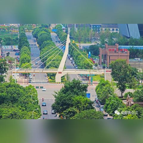 青白江最新楼盘深度解析