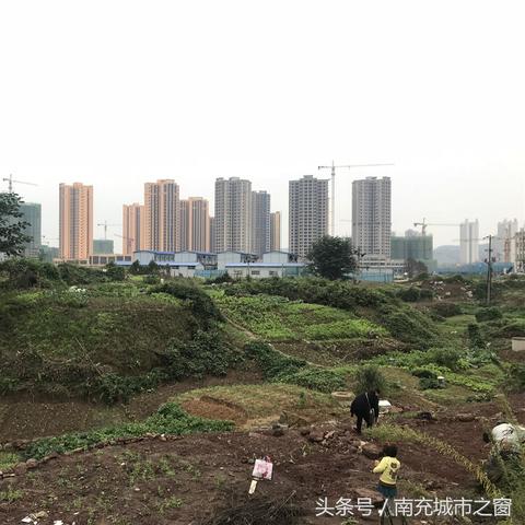 南充清泉坝最新动态更新报道