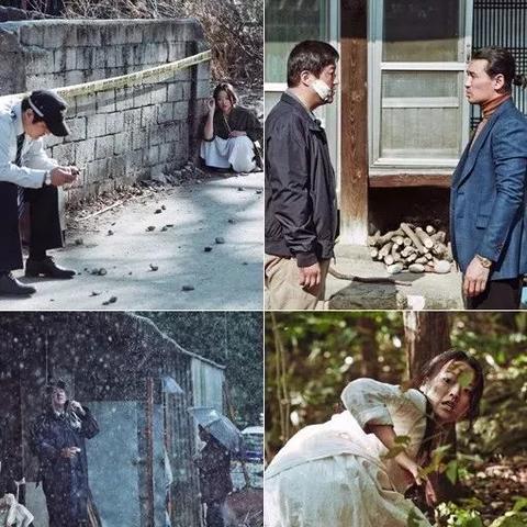 罗宏镇新电影解析与期待,深度探讨新作魅力