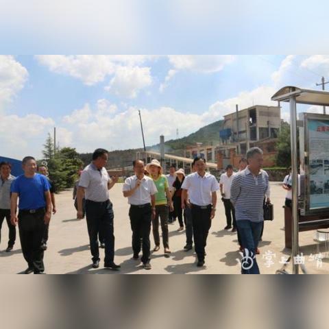 车马碧水库更新进展消息