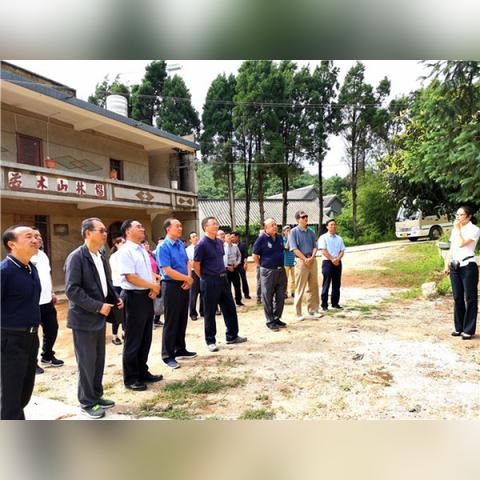 车马碧水库更新进展消息