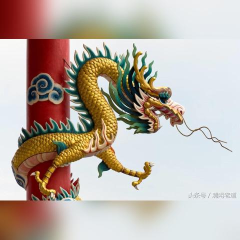 华夏龙成最新报价与市场走势分析