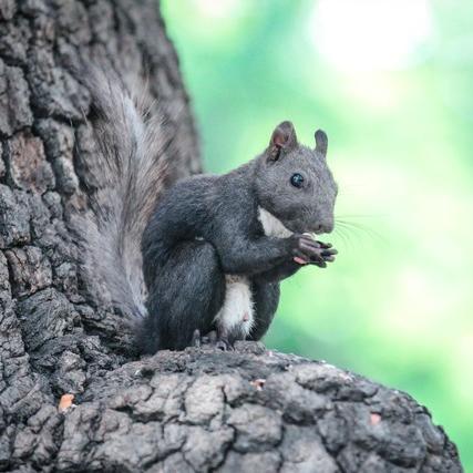 最新可爱小说，奇妙冒险之旅全文阅读