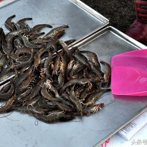 诚信买卖宝公告更新