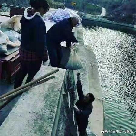 卫辉叫车电话最新动态与市场解析