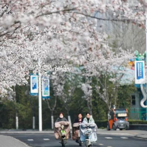 淮安最新地图详解