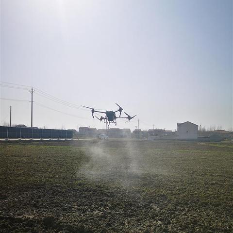 新洲辛冲地区最新发展规划概览