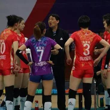 银鸽投资深度解析