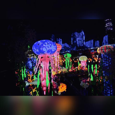 星光华印象最新动态揭秘