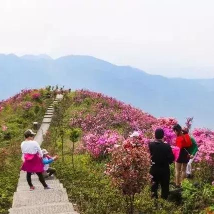 奉化东郊工厂招聘启事，最新职位空缺