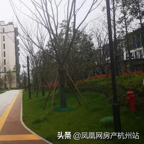 杭州崇贤房价最新走势分析