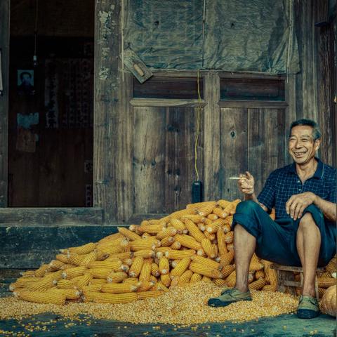 安徽无为网实时新闻速递