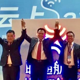 海特高新最新信息全面解读