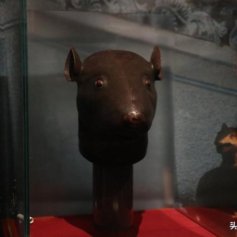 今晚澳门9点35分开什么号码,牛、猪、鼠、马_11-40-31-20-26-02 T：0920.367