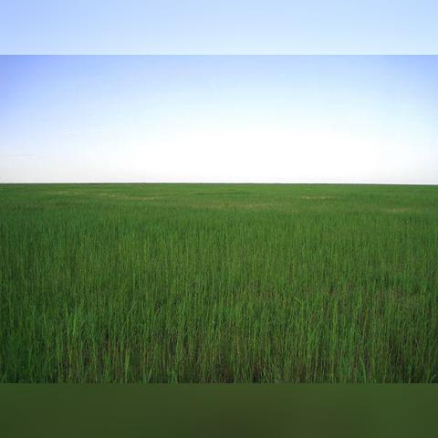 新澳2025年正版资料大全,鸡、龙、鼠、马_12-16-35-39-27-09 T：207.692