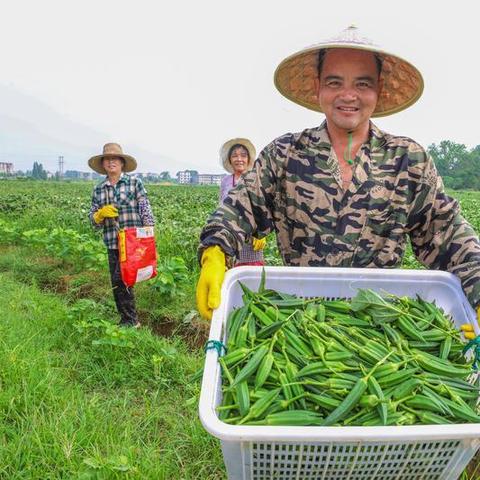 丰城市最新新闻动态报道速递