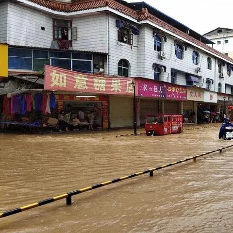 丰城市最新新闻动态报道速递