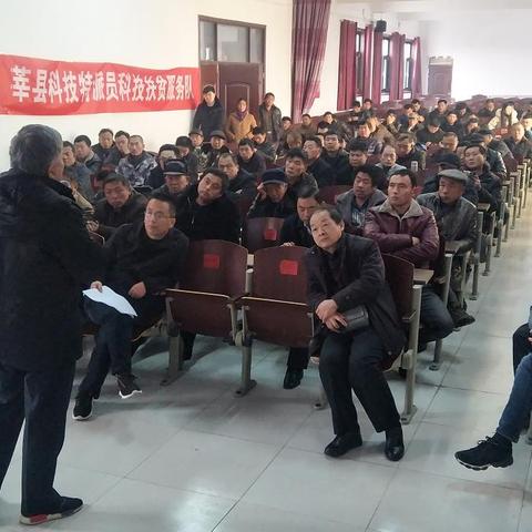 荷泽山药价格行情最新分析