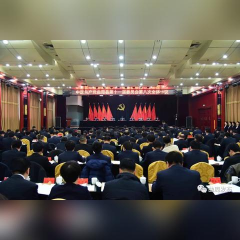 曲周会谱大全，最新详解与概览