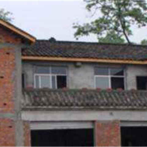 风水大师解析坟地选址,数据实例详解指南