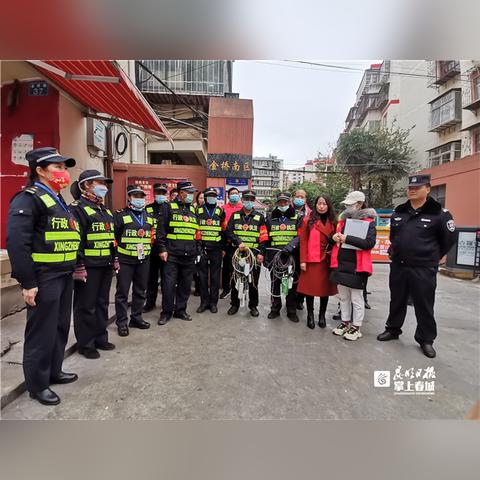 金辰国际花园最新资讯速递