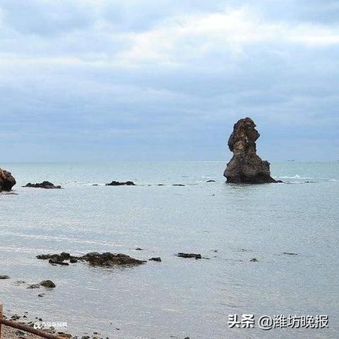 潍坊市最新干部公示消息发布