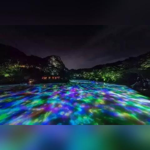 鲤鱼乡之约，2025年的浪漫情愫