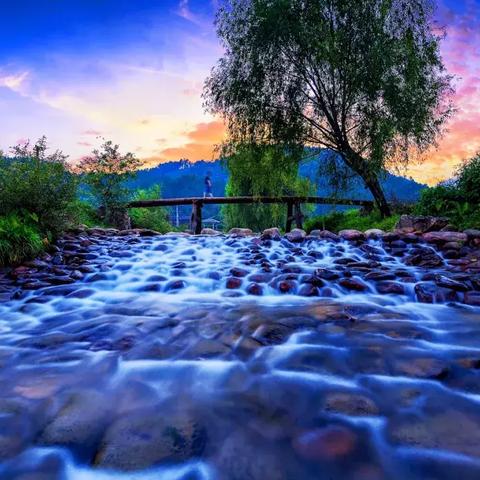 鲤鱼乡之约,2025年的浪漫情愫