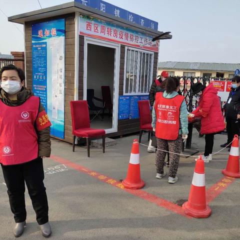 长阳镇篱笆房规划最新动态