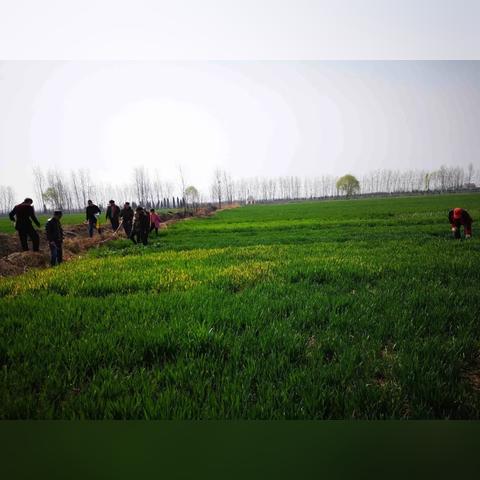 344国道最新规划图深度解析报告