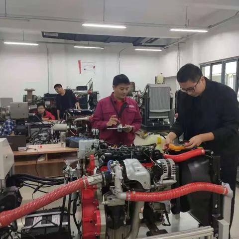 安徽尿素今日最新价格走势分析