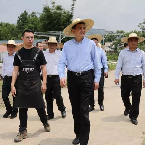 韶关新丰发展概况最新解读