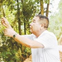 中央林权贷款政策解读