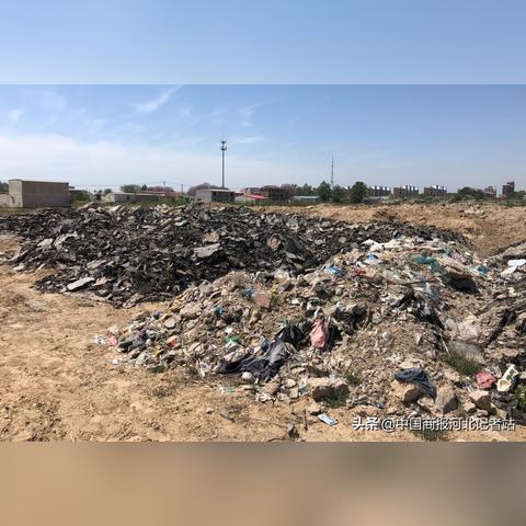 广宗县新闻速递，最新报道汇总