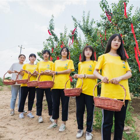 巨鹿金银花行情及最新价格分析