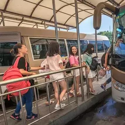 成都最新限号规定详解，2025年政策解读